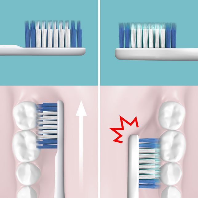 Comparație alăturată între un cap de periere cu profil subțire și unul cu profil mai gros în zona dinților din spate